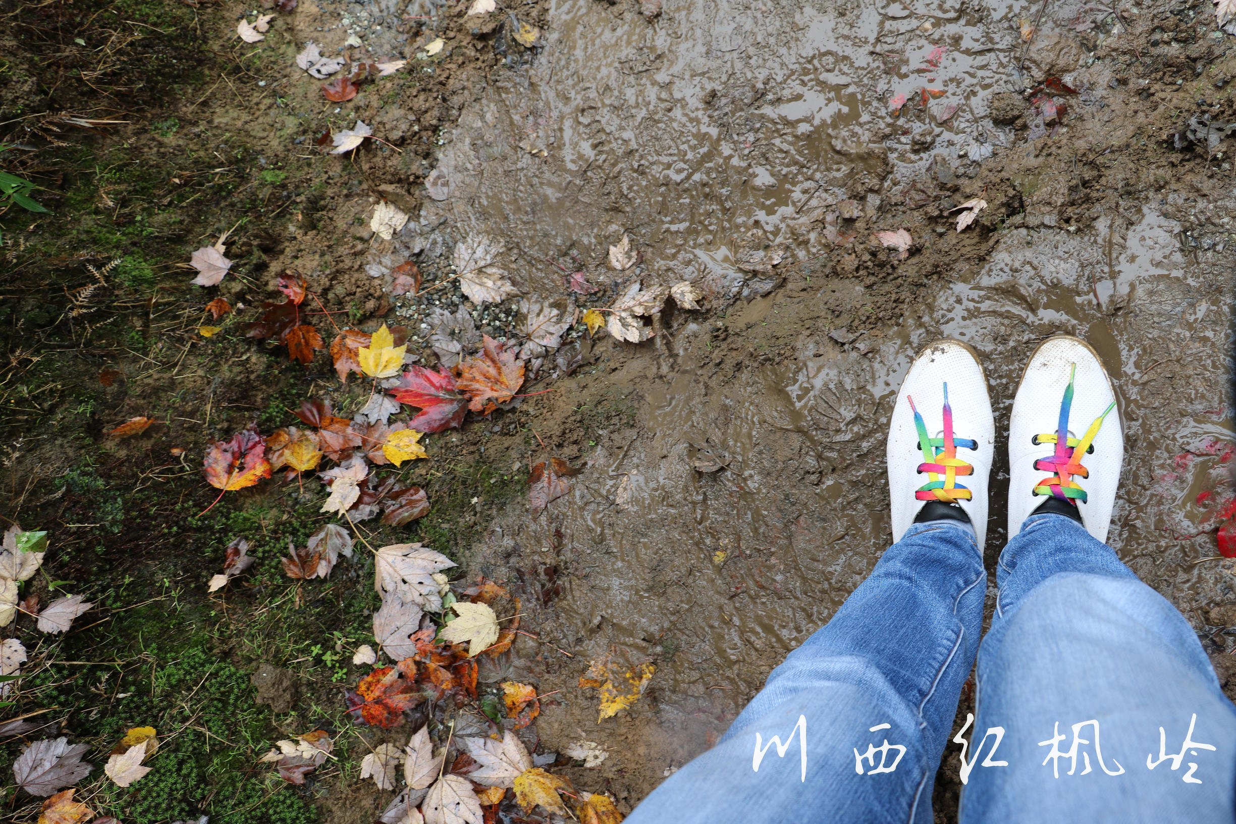 德阳红枫岭旅游,德阳市什邡市红枫岭景区