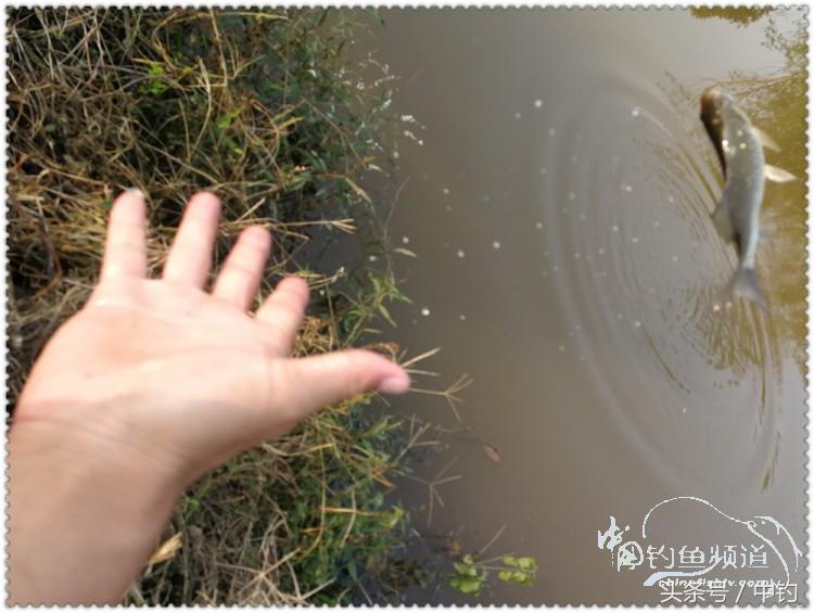 国庆节的来历,国庆头像