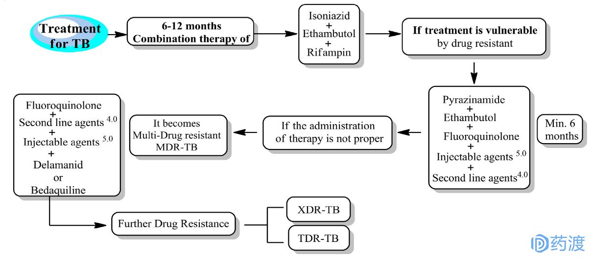 肺结核药物的研发流程,肺结核有可能研发特效药