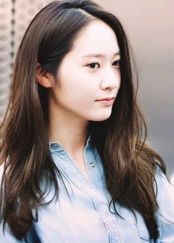 每日花语红山茶,每日花语桔梗花