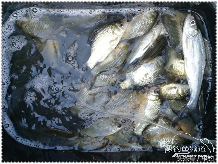 国庆节的来历,国庆头像