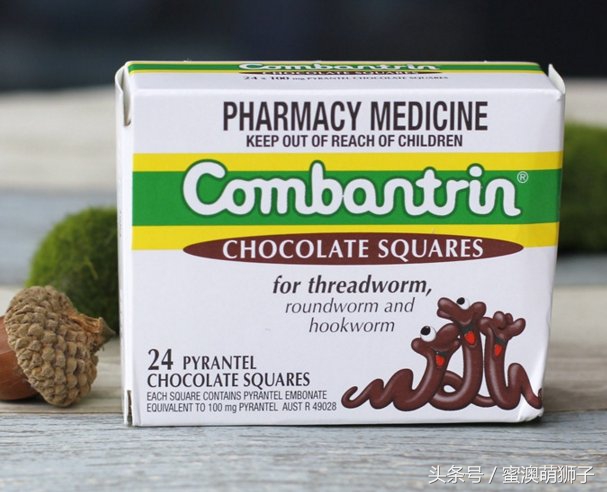 澳洲巧克力安全吗,澳洲巧克力注意事项