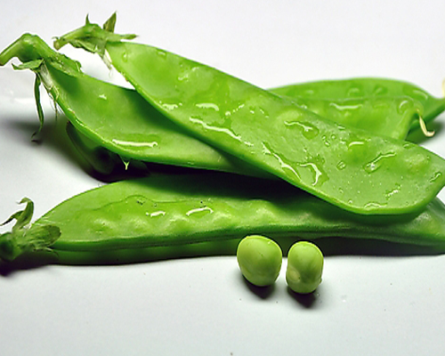 15个冷知识是什么,这15个心理学冷知识91%的人不知道