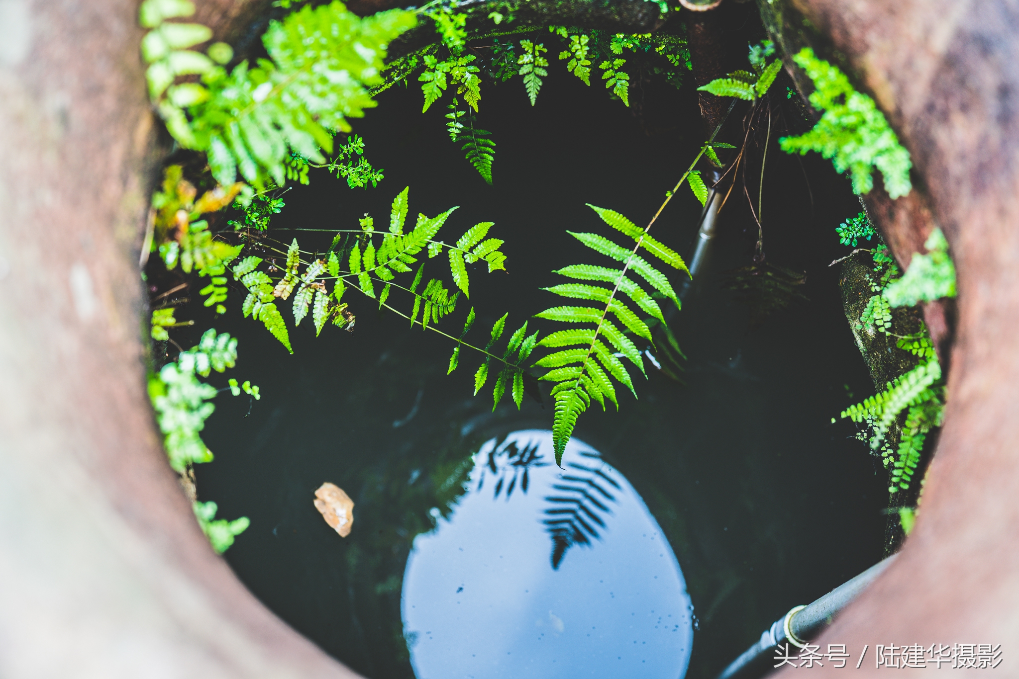 东莞世界工厂历史,东莞世界工厂遗址