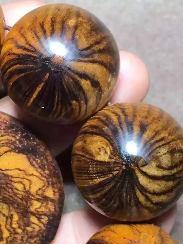 黄花梨怎么鉴定真假图解,海南黄花梨的鉴定方法和真假对比