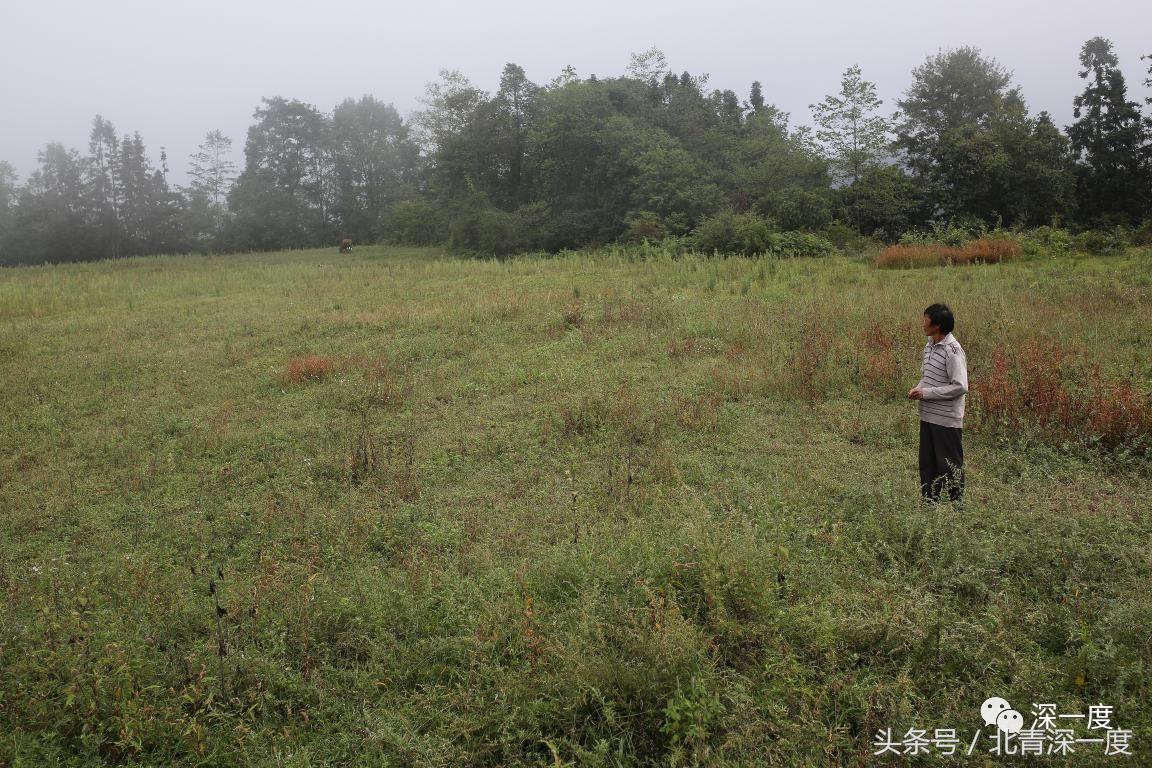 鹿晗泥坑,鹿晗在泥坑里