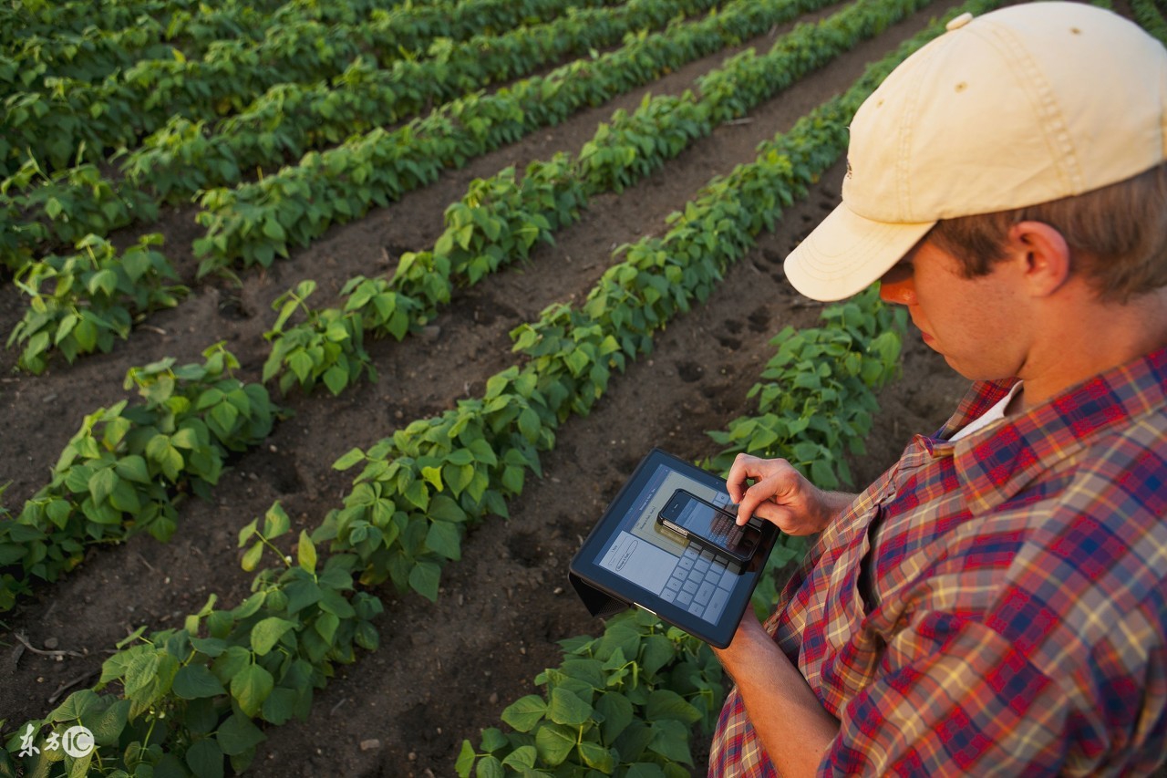 农药经营要讲究技巧,农药生意经营模式