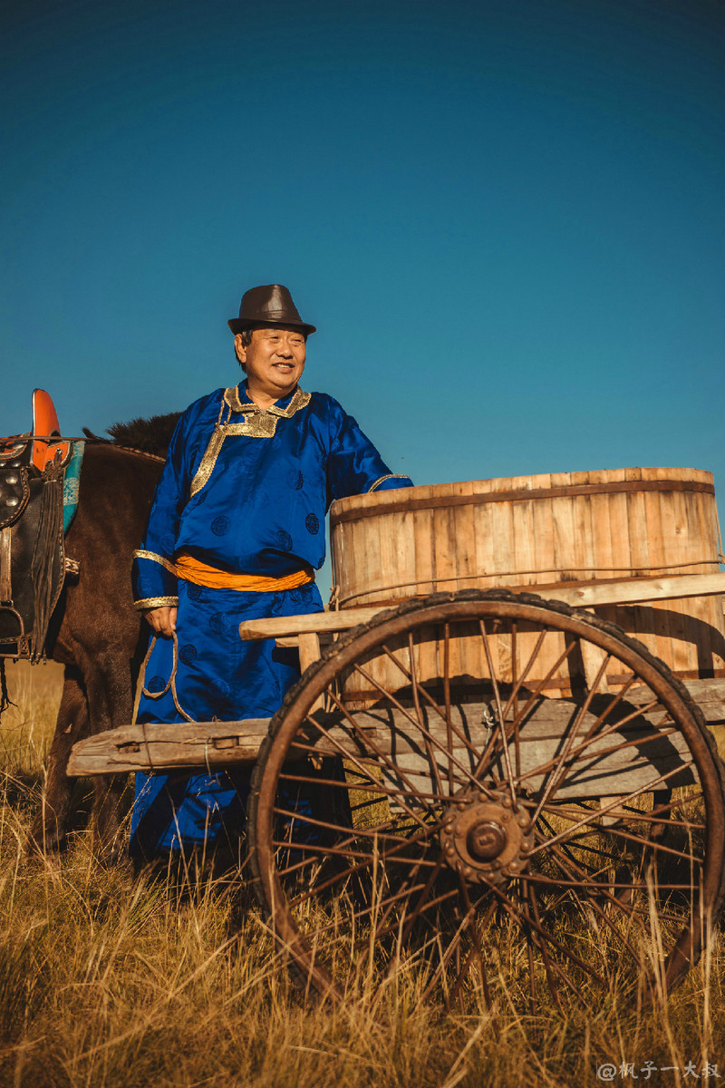 草原金秋美景图片,蓝天白云大草原的美图