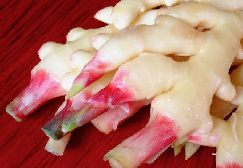 教会你如何采收生姜,生姜在采收的过程中应该注意什么