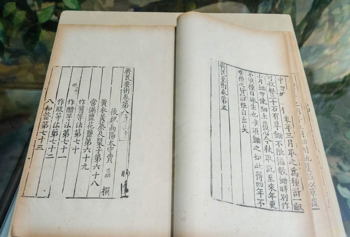 日本承认寿司起源于中国吗,日本寿司历史种类和食材