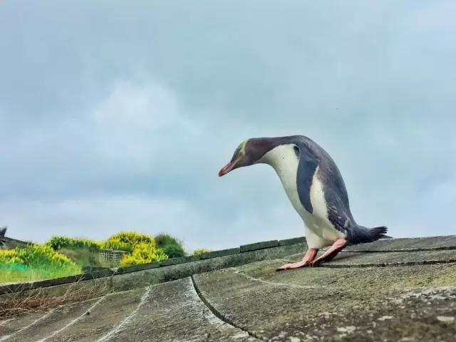 一个90后摄影师,一个90后的摄影师