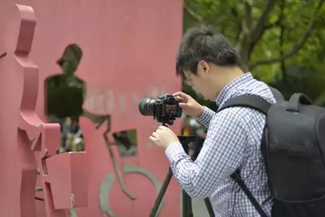 腾龙24-70拍摄效果,一颗镜头