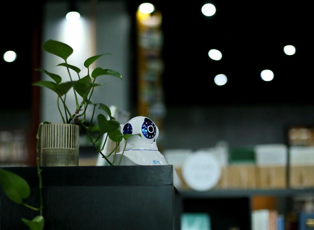 随身看如亲见，乔安居家小卫士