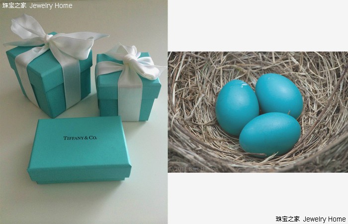 你究竟是蒂芙尼的真爱粉还是路人粉，一读便知！