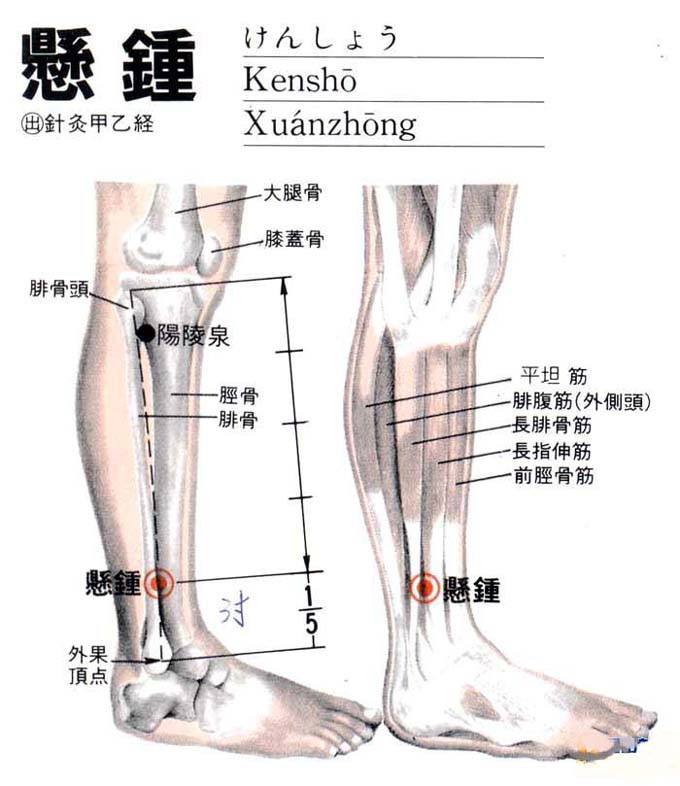 打通全身淤堵的穴位,十大重要穴位收藏
