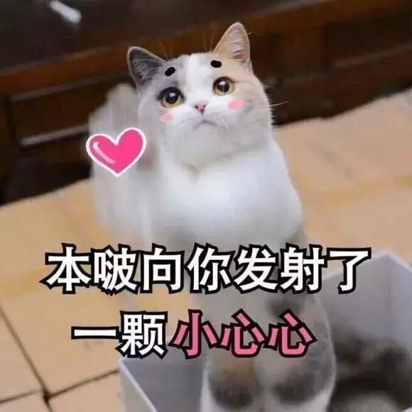 商家警惕骗局,商家的十大陷阱