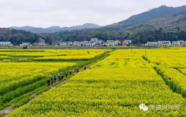 浏阳启动全域美丽乡村示范县,市创建震撼推出十条休闲农业与乡村旅游精品线路
