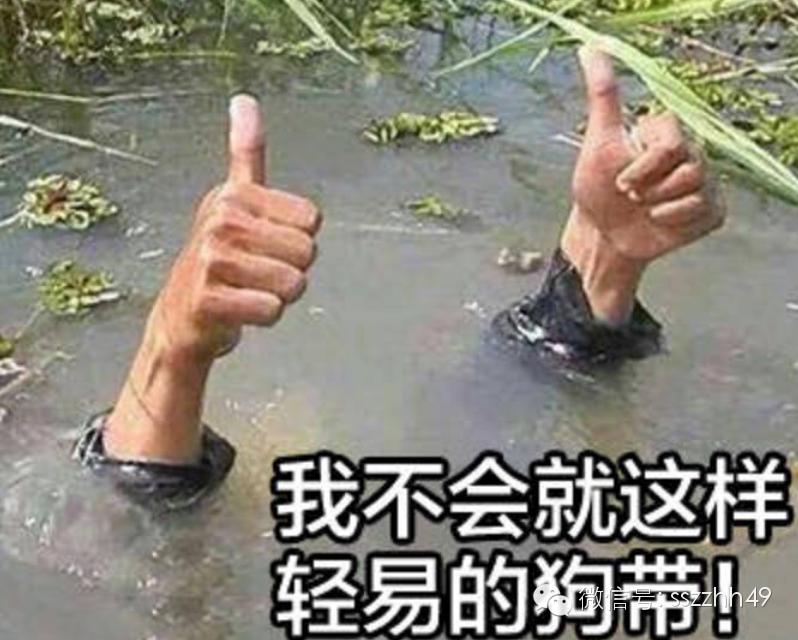 健身是一场修行完整版,健身是一场永不停息的旅行