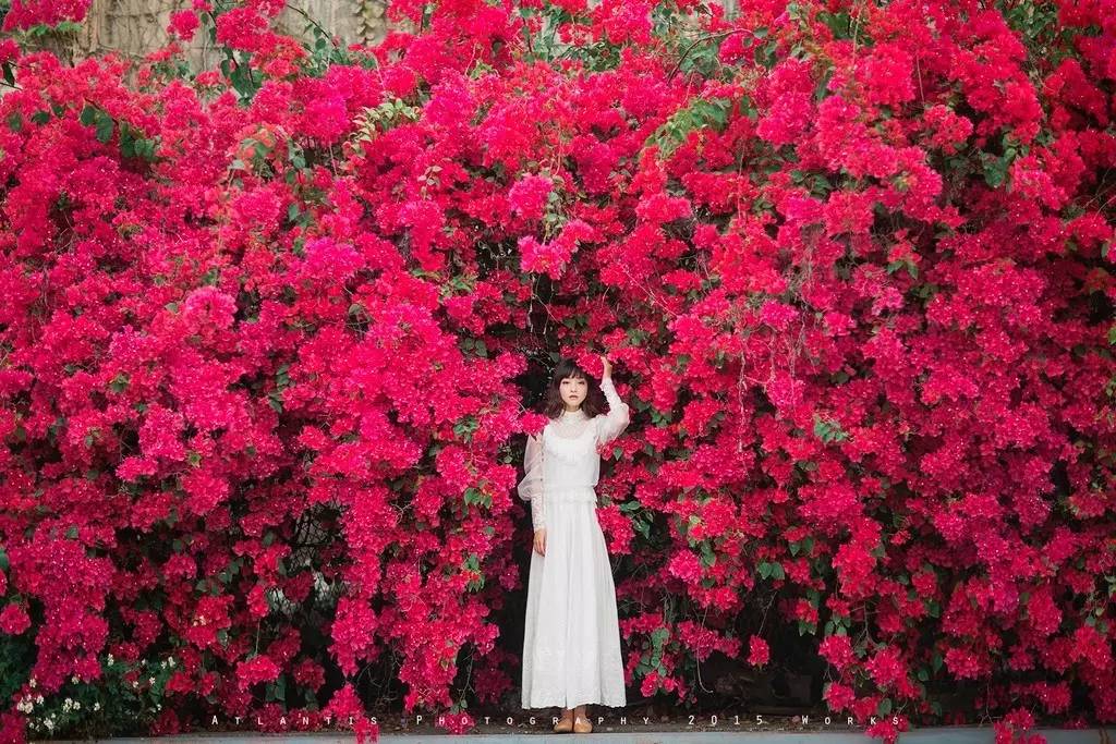 花季怎么拍好看,自由浪漫的人像照片