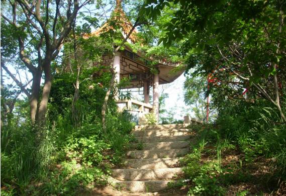 青岛18年清明赏花,青岛赏花踏青攻略