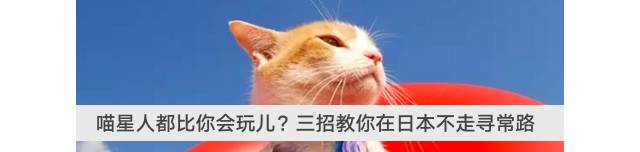 潜水零基础入门教程 (10个简单又可能被忽略的潜水技巧)