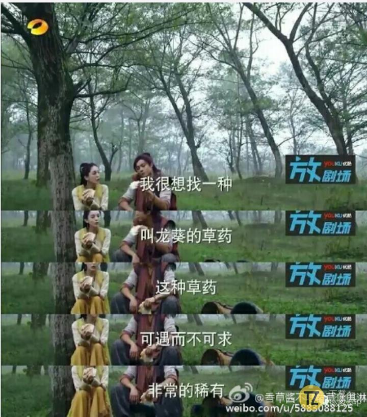 仙剑五为什么做得比仙剑四烂,无胡歌不仙剑什么梗