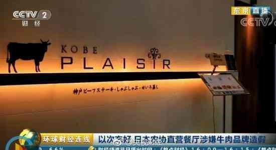 日产道歉,日产造假风波