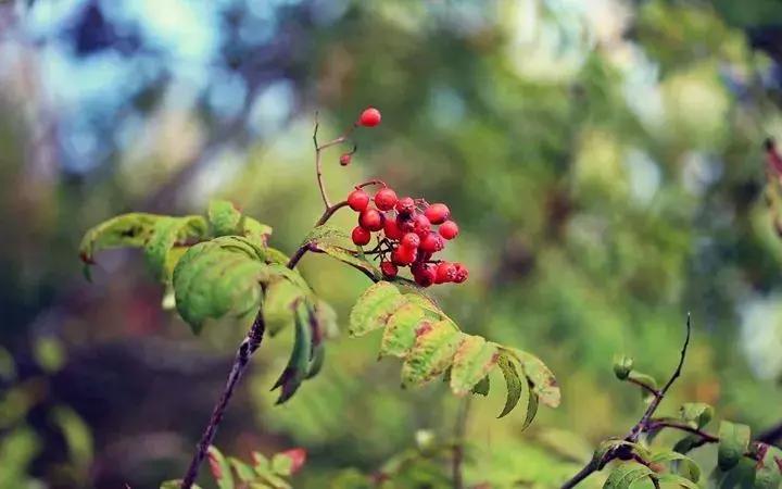 灏忚娣辨按婀剧殑宸ㄨ煉,灏忚娣辨按鎯婇瓊
