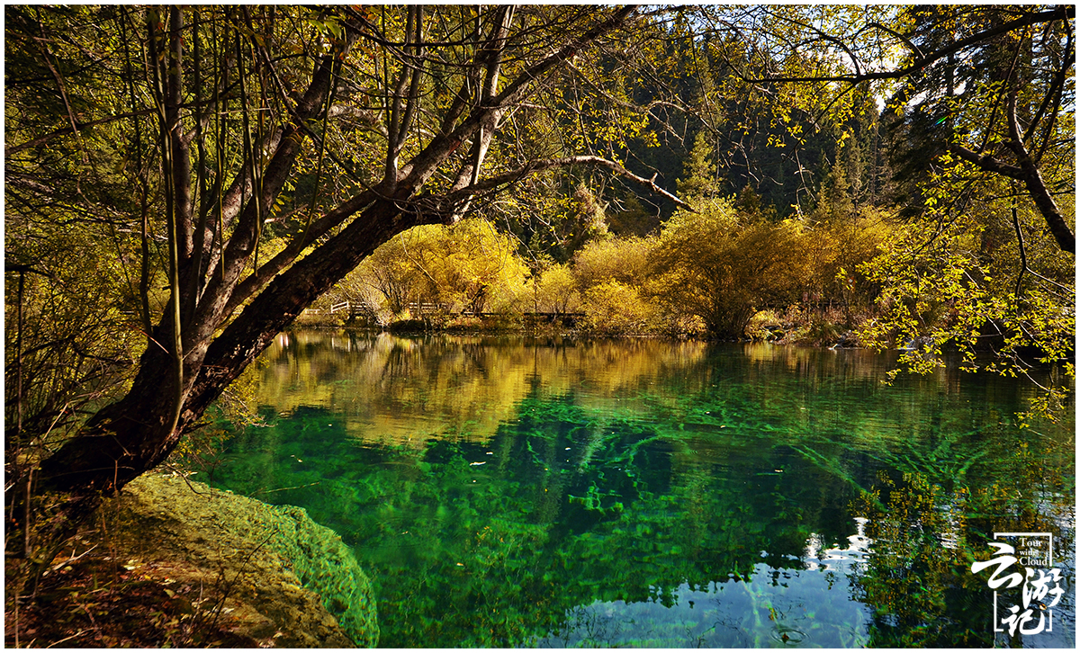 川西小环线4天自驾最佳红叶路线,川西红叶