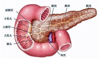 乔布斯胰腺癌几期为何能存活八年,乔布斯为什么死于胰腺癌