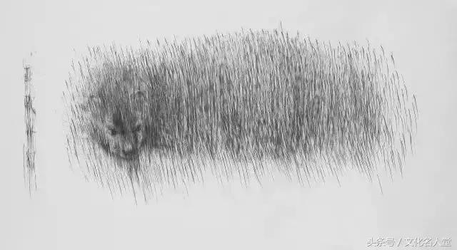 袁峰辉作品,袁峰辉简介