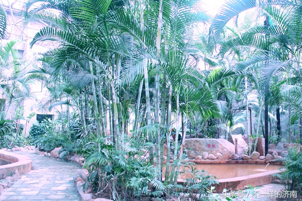 春夏秋冬桑拿泡澡,冬天泡澡哪种最舒服