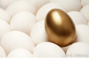 养殖食用鸡和养殖蛋鸡哪个更挣钱,养鸡除去成本一只能赚多少