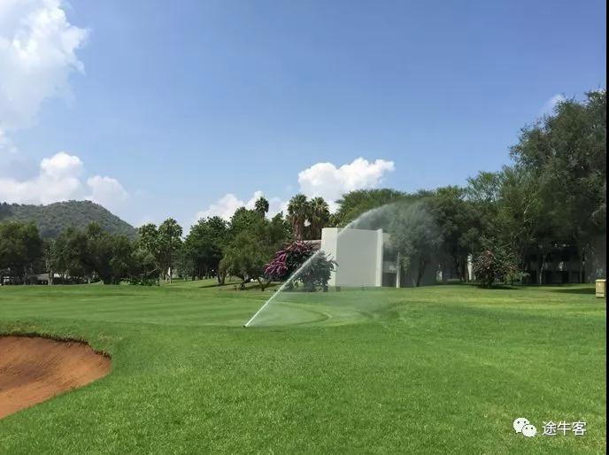 陈大刚动态,陈大刚扎兰屯