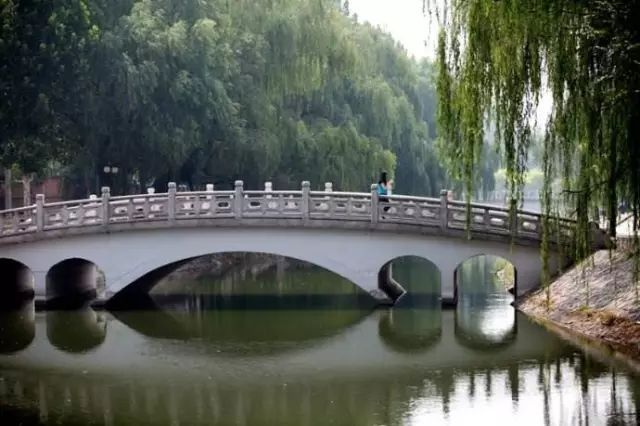 南开大学的优势与缺点,南开大学越来越不好了吗