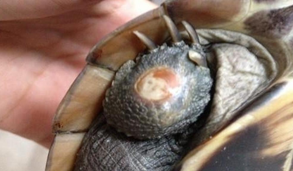 小病怎么治疗才有效,小病治疗常识大全