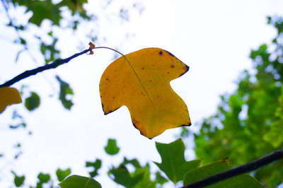 衣服摩擦会引起湿疹加重吗,衣服潮湿不干会引起湿疹吗