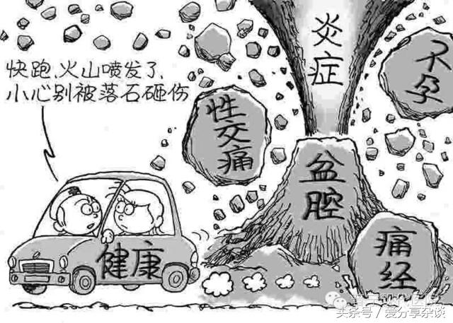 白果有效治疗妇科病,白果搭配什么可以治妇科病呢