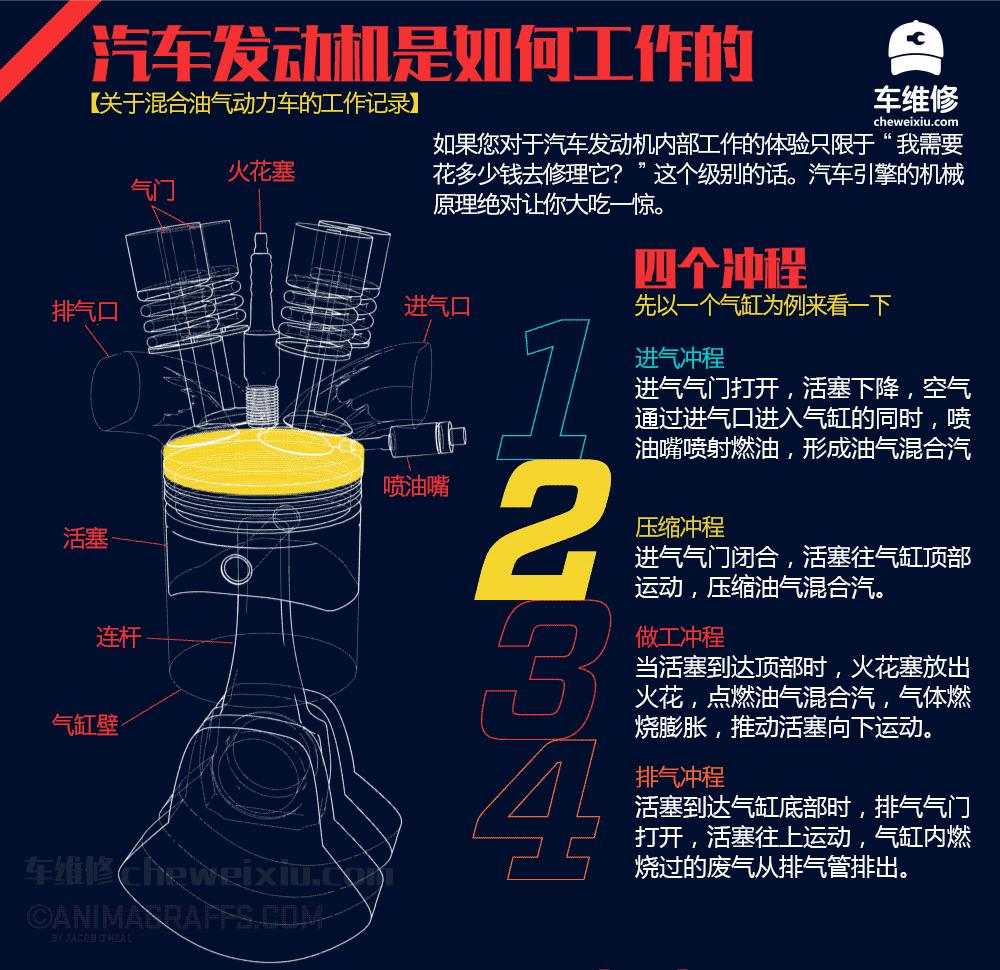 爱车做“B超”！看看跟人一样一样de！小白老白都稀罕