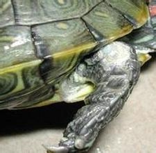 小病怎么治疗才有效,小病治疗常识大全