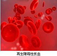 再障患者吃什么中药好,再障病人身上出现出血点严重吗