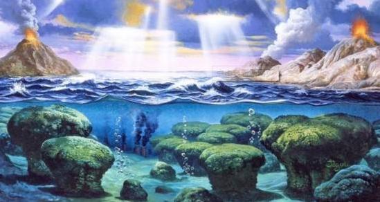 蓝藻是在地球初期什么时候形成的,地球第一个生命体蓝藻