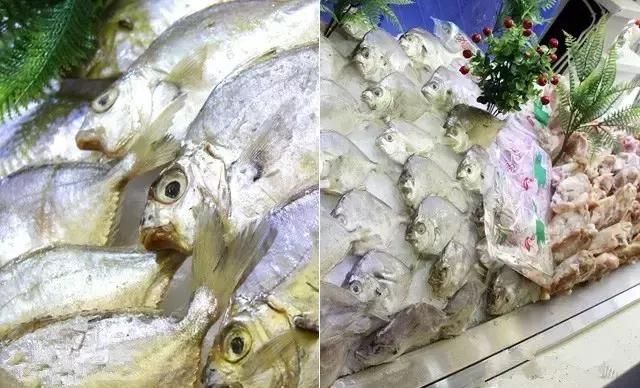 西安美食推荐自助餐学生,西安学生党自助餐推荐