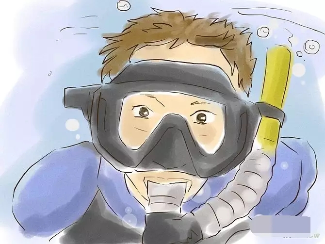 浮潜必须要知道的事,浮潜须知