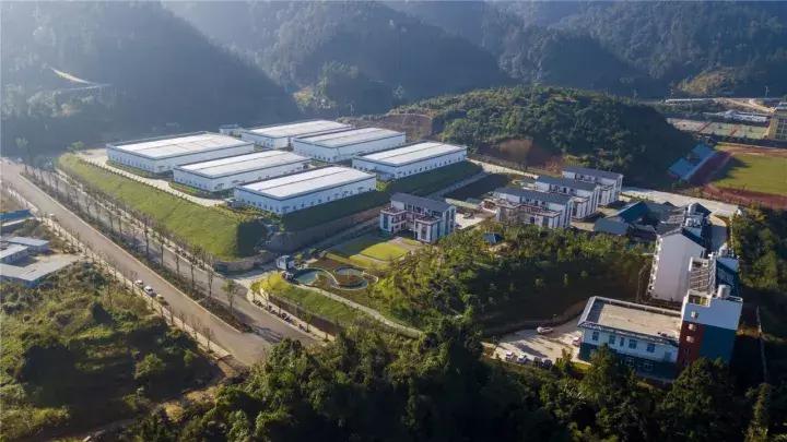 不走劲酒路子,保健酒能否酿出“云南酒类第一品牌”