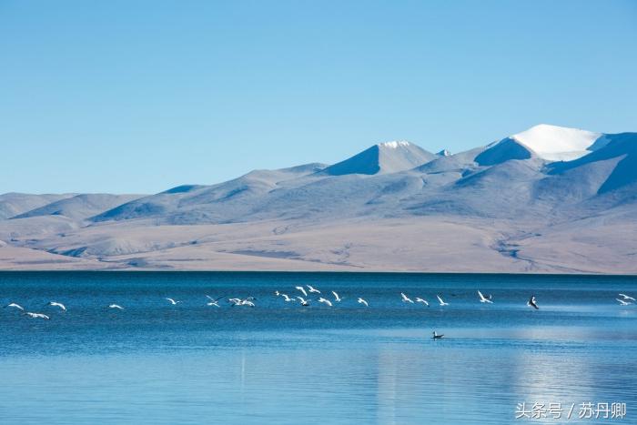 老司机眼中的西藏精髓,老司机西藏旅游