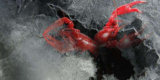 2017小本挣钱好商机,2017小本创业最赚钱