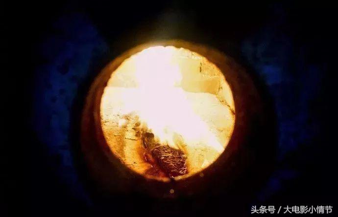 金龙鱼死亡怎么处理,家里养的金龙鱼死了该怎么处理