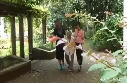 湖北好儿女——“送煤气夫妻”：担子再重，孝顺父母不能耽搁！