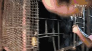 看了让人非常难受的高分电影,这辈子都不想看的电影